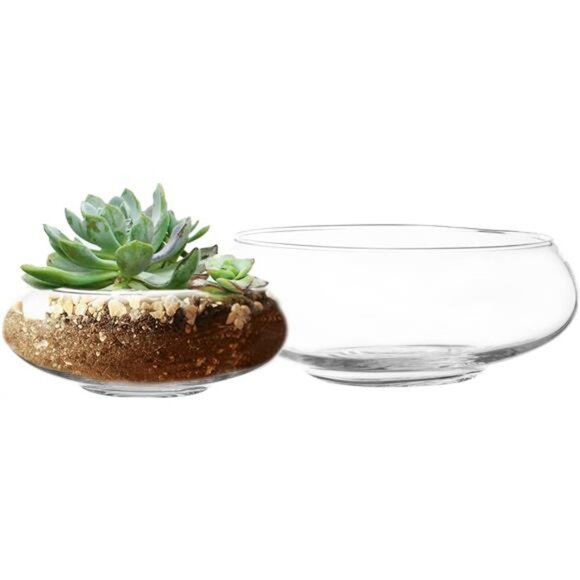 Royal Imports Round Glass Vase Set of 2 – Clear Decorative Glass Bowls - Picture 1 of 8